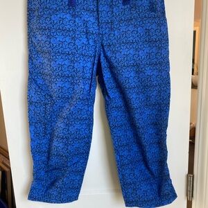 NWT Patagonia Venga Rock Capris